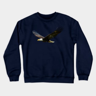 Bald Eagle in flight Crewneck Sweatshirt